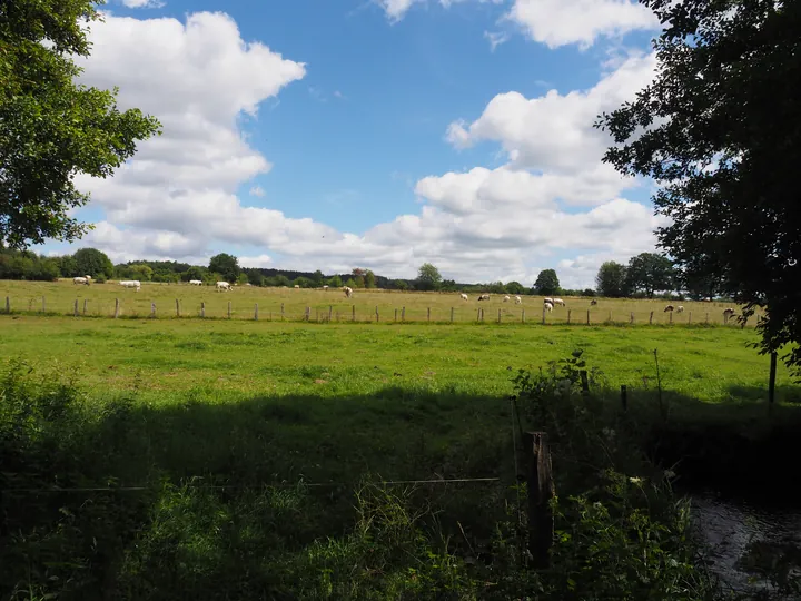 Ferme de la Planche (Blote voeten pad) (België)